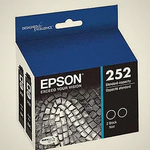 Epson 252 2pk Ink Cartridges - Black (T252120-D2): Standard Yield Printer Ink